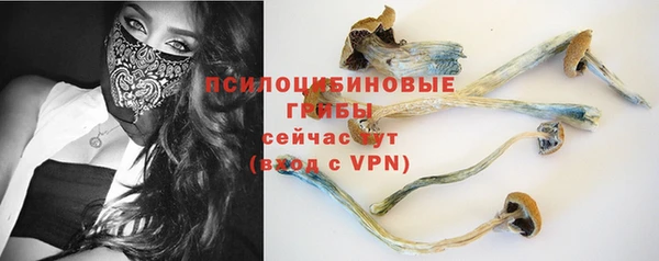 МДПВ Абаза