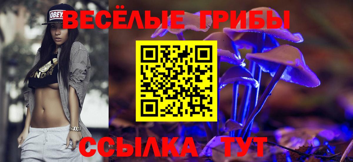 Псилоцибиновые грибы Psilocybine cubensis Дятьково