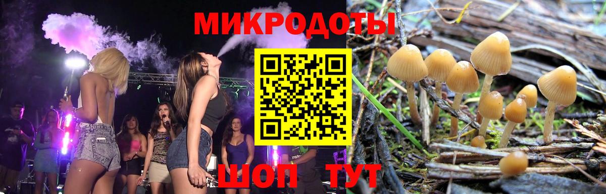 Дятьково  Галлюциногенные грибы мухоморы  купить  сайты  Вход с VPN 